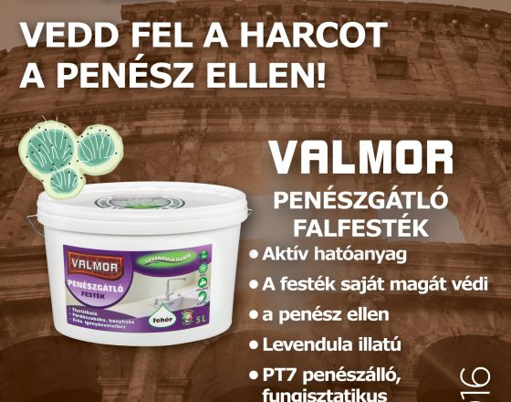 Vedd fel a harcot a penész ellen VALMOR Penészgátló Falfestékkel!